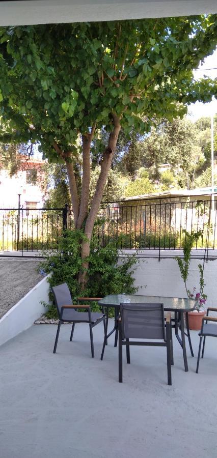 Όασις Ξενοδοχείο Πάργα Εξωτερικό φωτογραφία