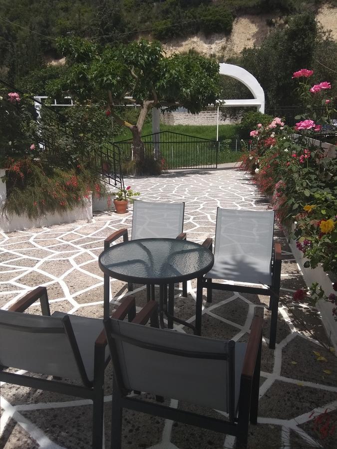 Όασις Ξενοδοχείο Πάργα Εξωτερικό φωτογραφία