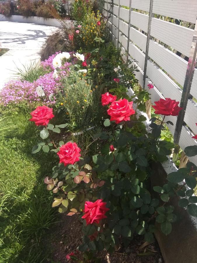 Όασις Ξενοδοχείο Πάργα Εξωτερικό φωτογραφία